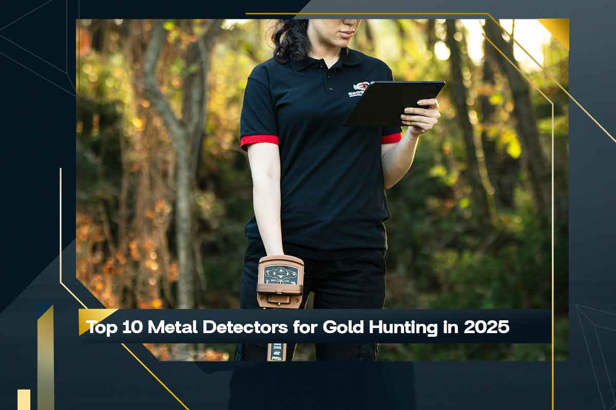 Top 10 Metal Detectors for Gold Hunting